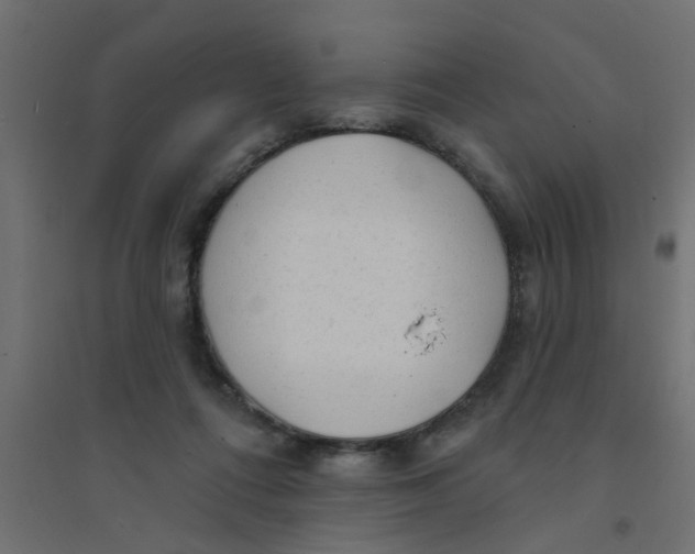 X0000094330312200711241835