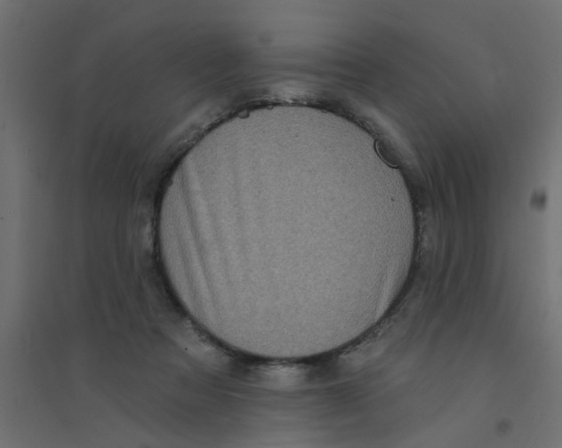 X0000094330313200711241835