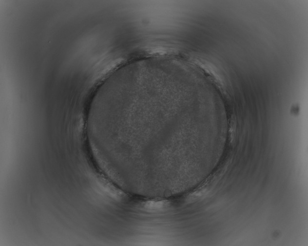 X0000094330314200711241835