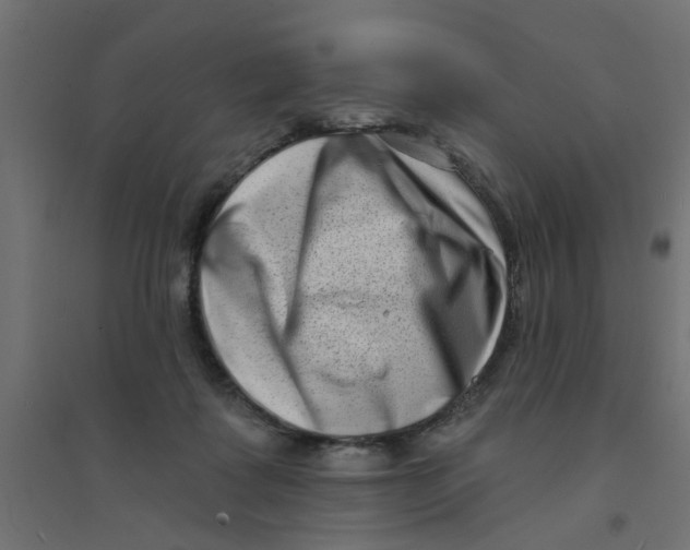 X0000094330315200711241835