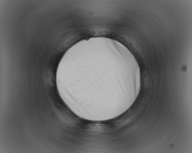 X0000094330316200711241835