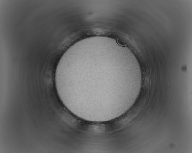 X0000094330317200711241835