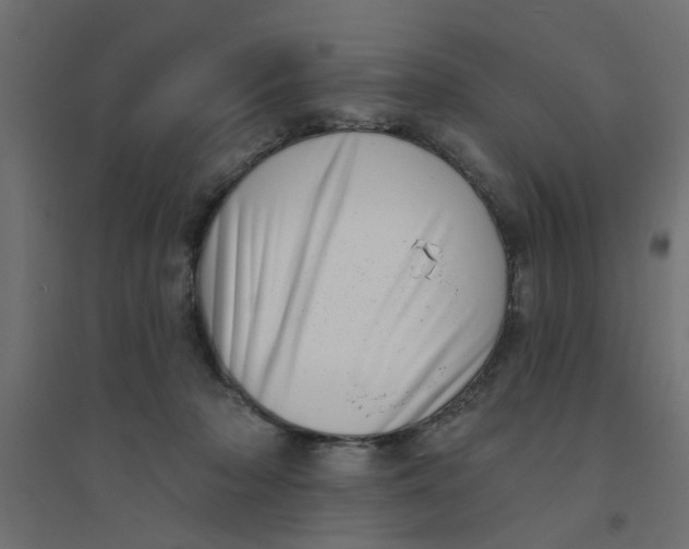 X0000094330318200711241835