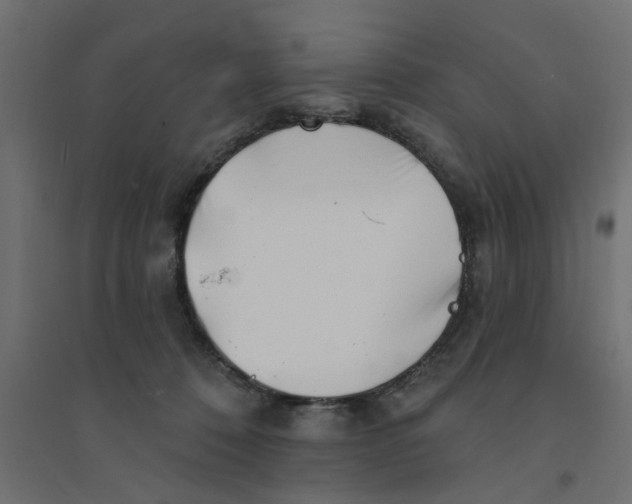 X0000094330320200711241835