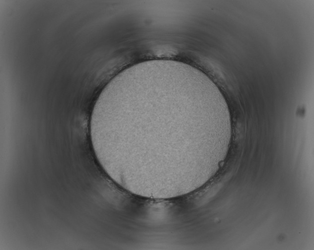 X0000094330321200711241835