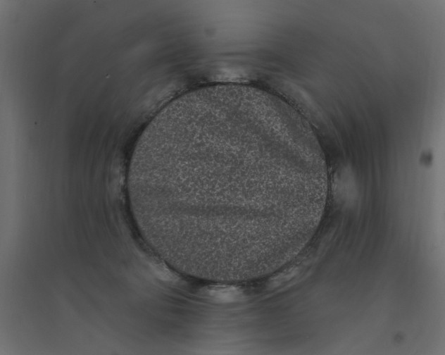 X0000094330322200711241835