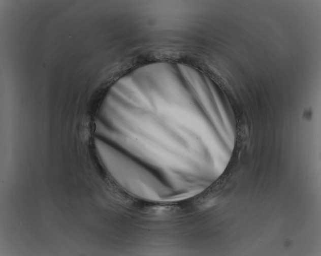 X0000094330323200711241835