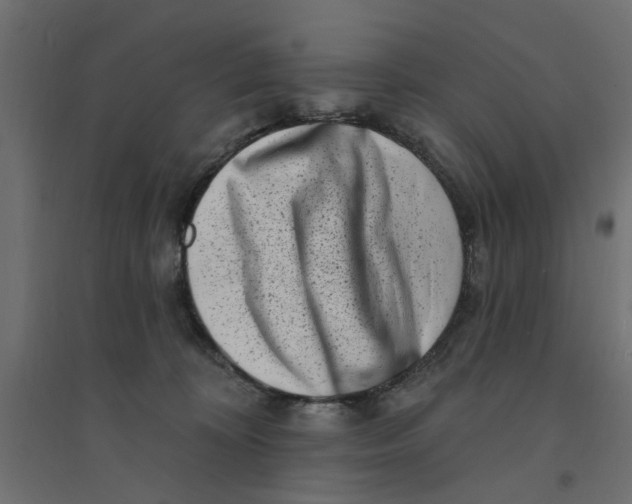 X0000094330324200711241835