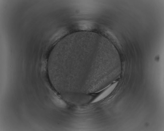 X0000094330325200711241835