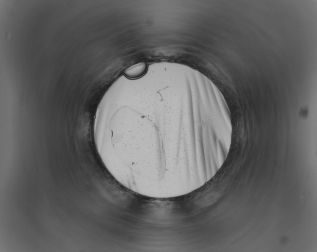 X0000094330328200711241835