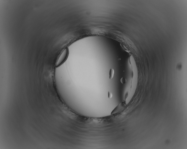 X0000094330329200711241835