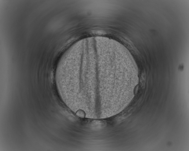 X0000094330330200711241835