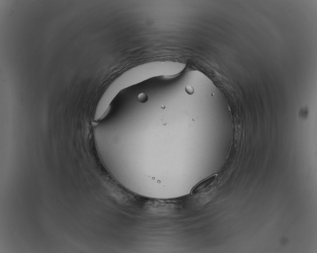 X0000094330331200711241835