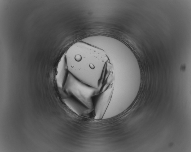 X0000094330333200711241835