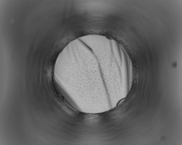 X0000094330334200711241835