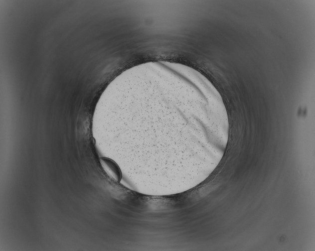 X0000094330336200711241835