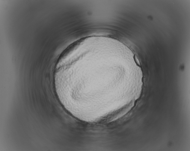 X0000094330337200711241834