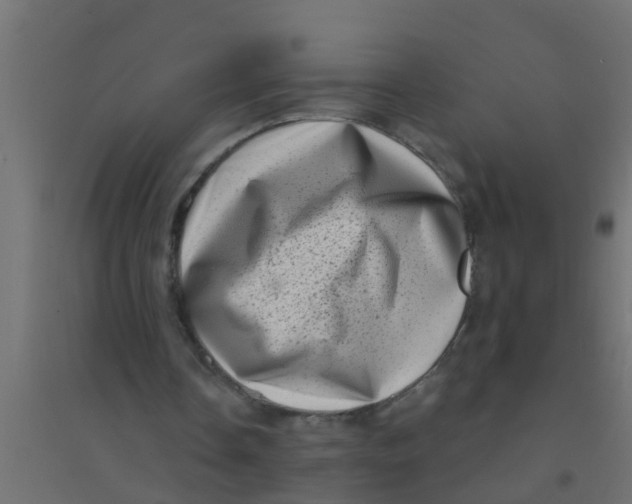 X0000094330338200711241834