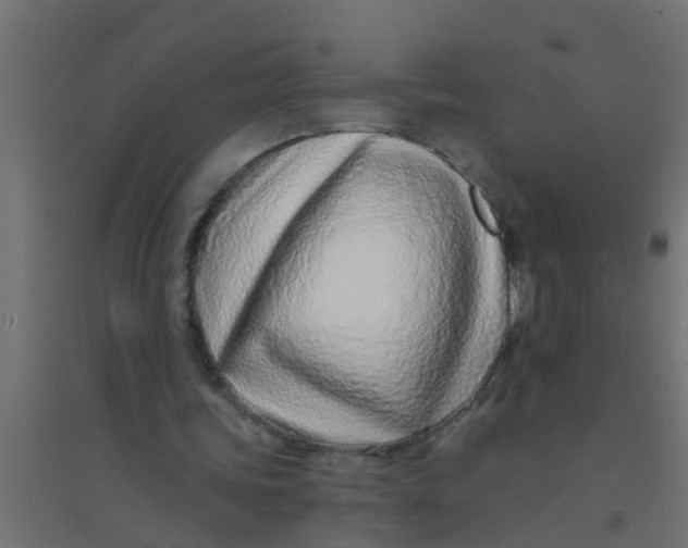 X0000094330339200711241834