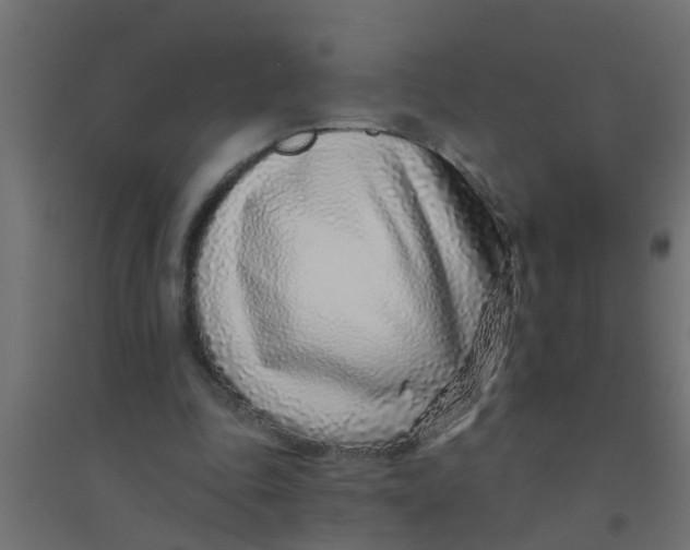 X0000094330343200711241834