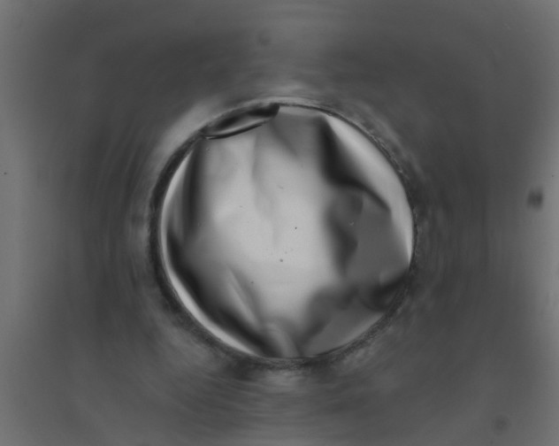 X0000094330344200711241834