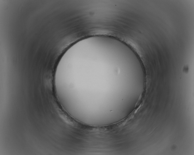 X0000094330345200711241834