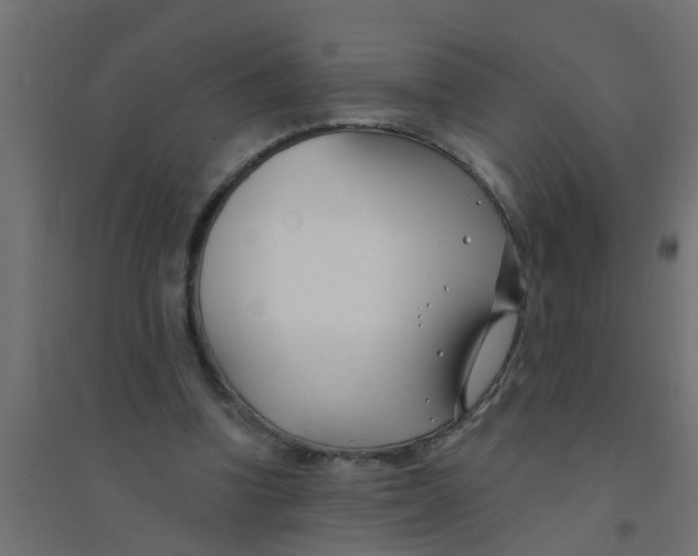 X0000094330346200711241834