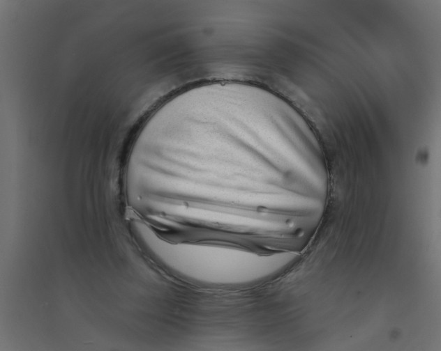 X0000094330347200711241834