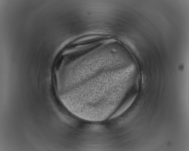 X0000094330348200711241834