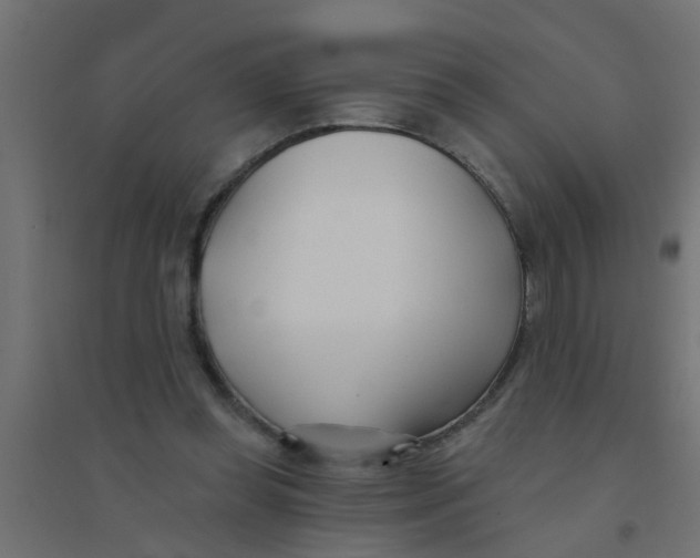 X0000094330349200711241834