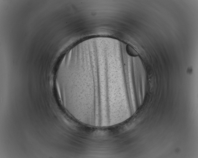 X0000094330350200711241834