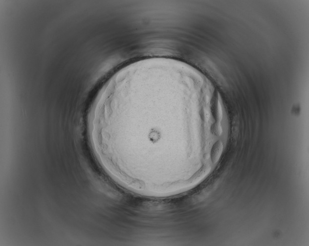 X0000094330351200711241834