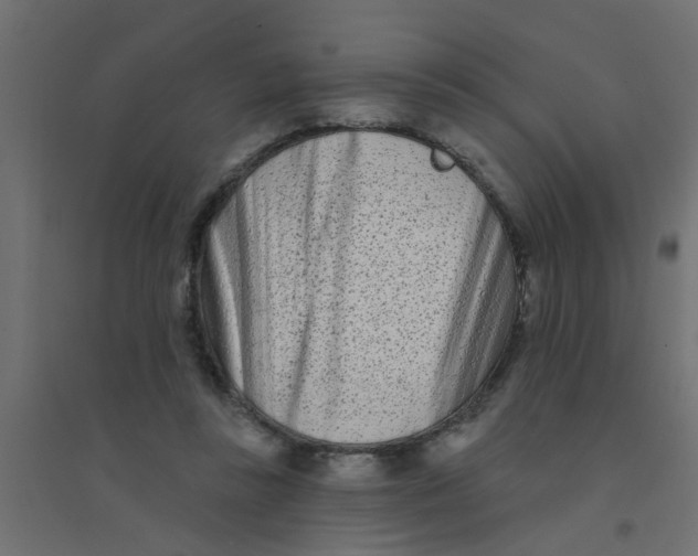 X0000094330355200711241834