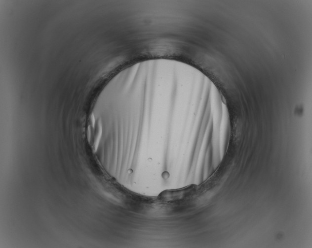 X0000094330356200711241834