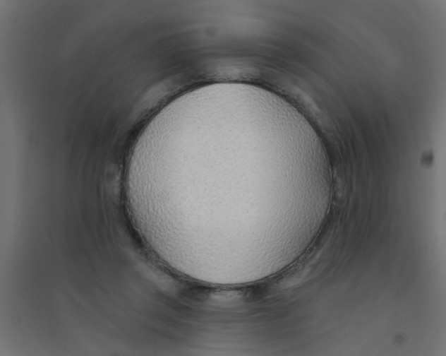 X0000094330357200711241834