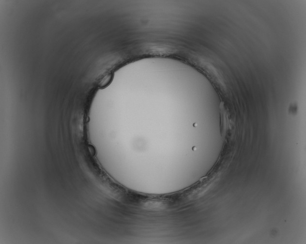 X0000094330358200711241834