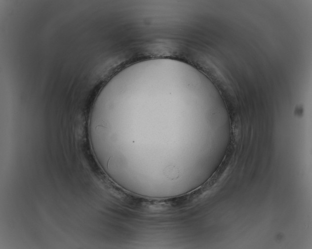 X0000094330359200711241834