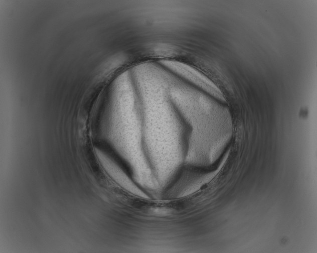 X0000094330360200711241834