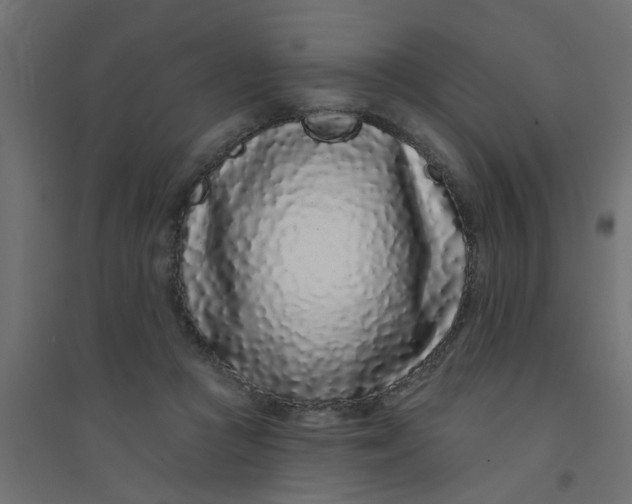 X0000094330361200711241834