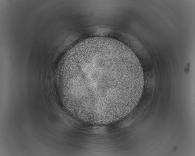 X0000094330363200711241834