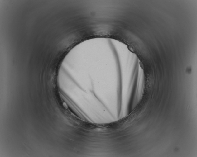 X0000094330364200711241834