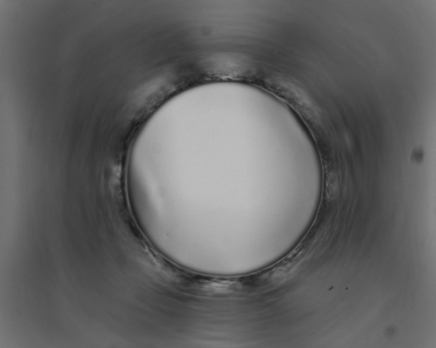 X0000094330365200711241834