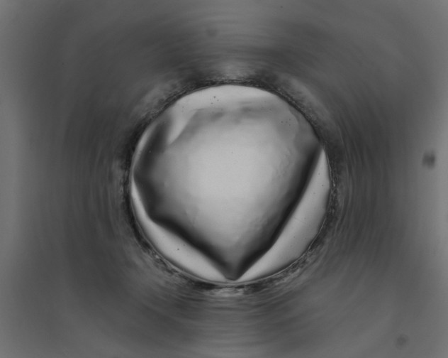 X0000094330366200711241834