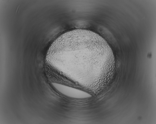 X0000094330367200711241834