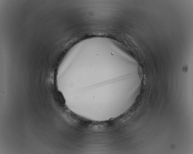 X0000094330368200711241834