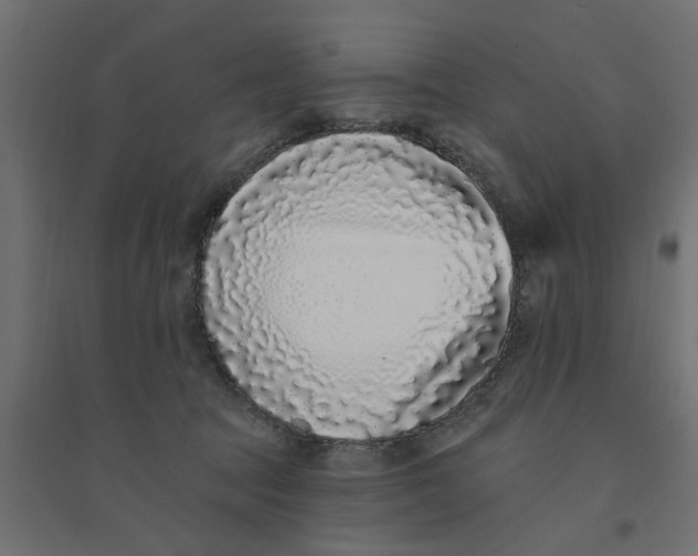 X0000094330369200711241834