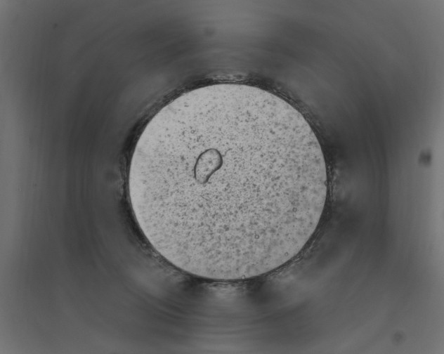 X0000094330370200711241834