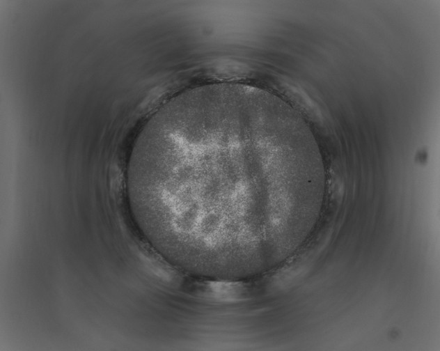 X0000094330371200711241834