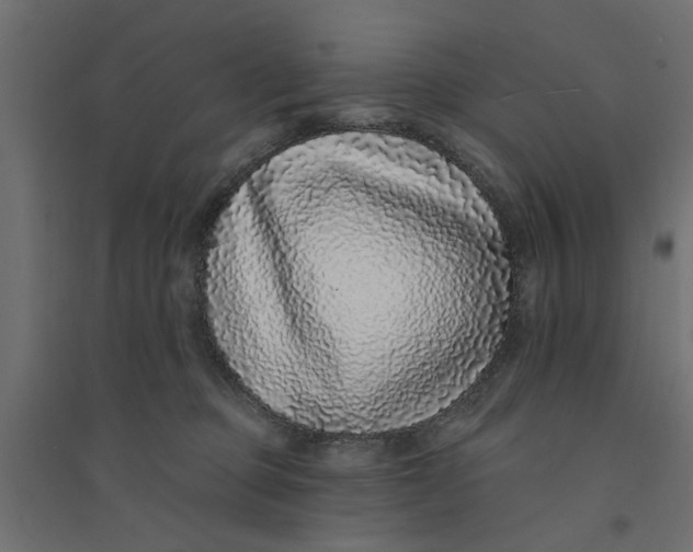 X0000094330373200711241834