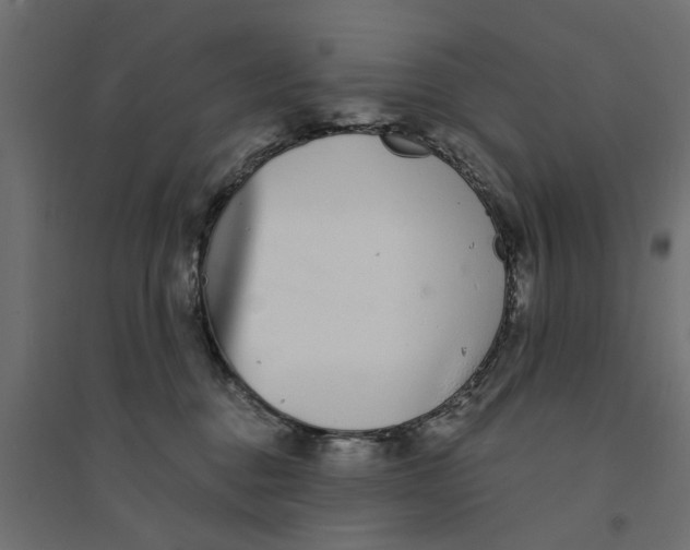 X0000094330376200711241834